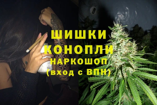 ГАЛЛЮЦИНОГЕННЫЕ ГРИБЫ Алексеевка