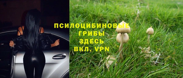 ГАЛЛЮЦИНОГЕННЫЕ ГРИБЫ Алексеевка
