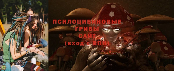 ГАЛЛЮЦИНОГЕННЫЕ ГРИБЫ Алексеевка
