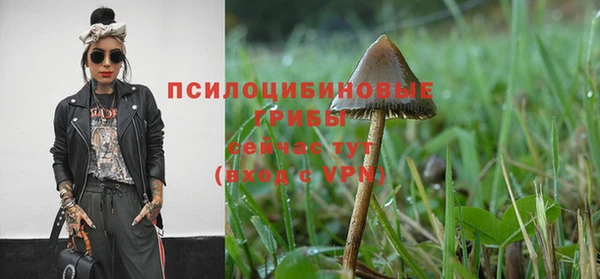 каннабис Алексин